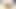 Wet Creamy Pussy Compilation - Blonde Teen Creampied