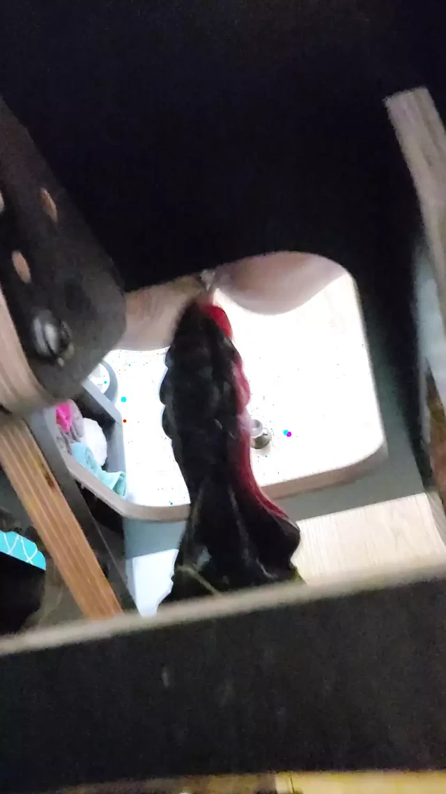 Tink88 кончает на своем дилдо-рокере с ее новой игрушкой