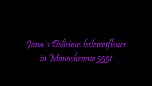 Tek renkli 3331'de lezzetli lescesfleurs