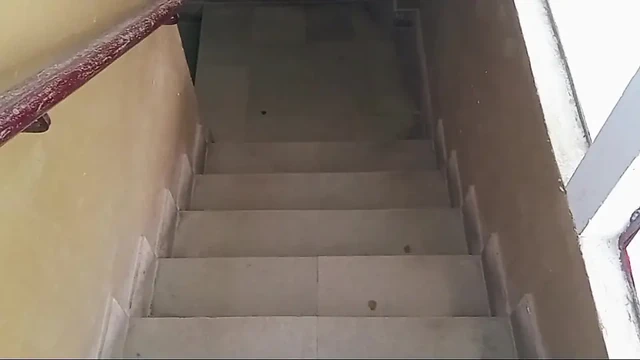 Видео вирусного траха горячей невестки