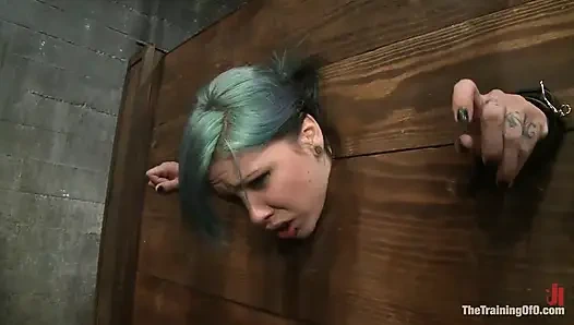 5. Gün Kırmızı ve Mavi