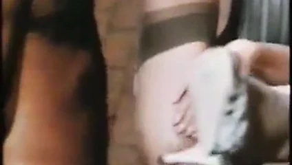 Deutsche Weiber in den After gute alte Zeit