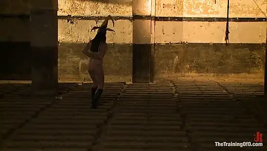 Dolly Meats 2. gün sorgulama, otk ve yoğun bir süspansiyon