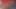 Seksi minyon siyah kıllı amcık ayakla muamele, ayak fetişi
