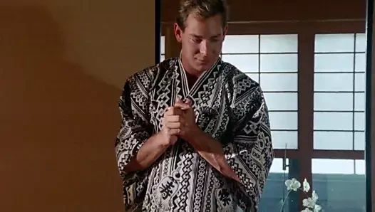 Güzel şeftaliler 3, arayış (1989)