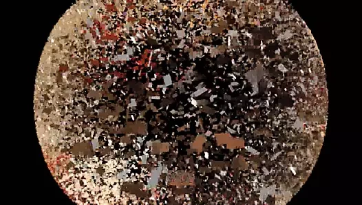 Prenses nicole tekme domuzunu tekmeledi