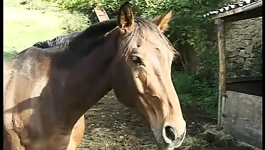 İki fahişe kıçından sert alıyor