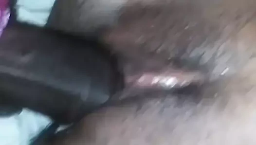 Dodamage kedi kreması