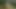 Skyrim porno mod vitrini