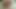 2022'deki en büyük cumshots. yere çivilenmiş ve mideme püskürtülmüş. göbek cumshot.