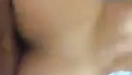 Başlarken becerdin köpek stili