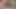 Büyük götlü ateşli üvey anne aldatılan üvey babasının önünde göğüslerini ve amını üvey oğlunun yarağına ovuyor