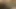 Mini etek külotsuz sütyensiz evli kadın kanepede amını ve güzel bacaklarını teşhir etmeden okumaya çalışıyor