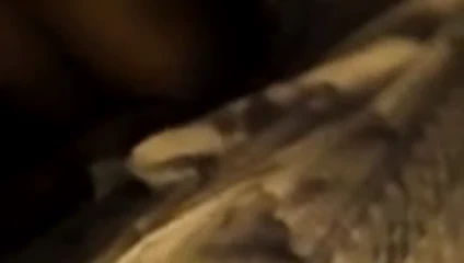 Arkadaşlar sikişiyor 2