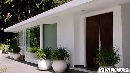 Vixen iyi niyetliydi ama yalnız olduklarında karşı koyamadı