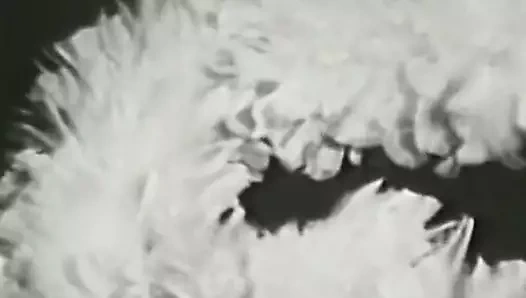 Oryantal dansçıların baştan çıkarıcı gösterisi (1970'ler vintage)