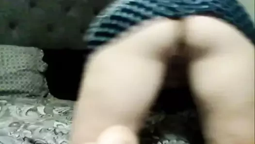 Sıkı kedi üzerinde web kamerası