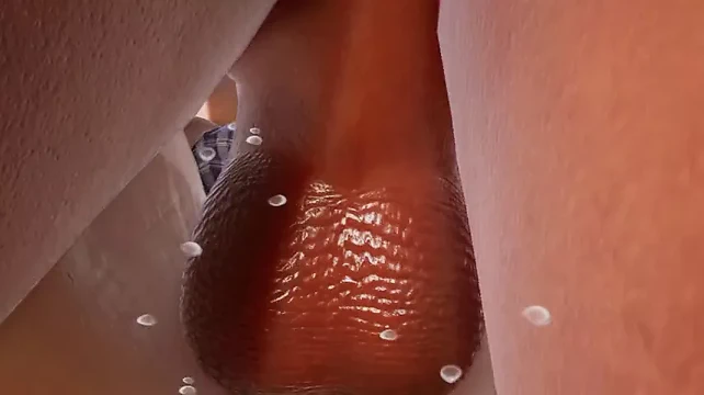 3d hentai hardcore anal ile ahegao yüz
