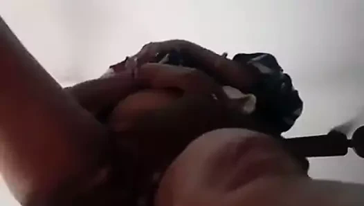 Tamil kedi çırpıcı