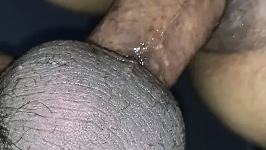 O şişman güzel kedi ve eşek başka bir iyi görünüm