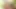 Sarışın orta yaşlı seksi kadın vahşi lezbiyen sikişi için yapay penisi kafasına takıyor