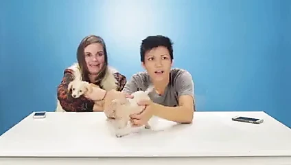 Sevimli kısa saçlı kız