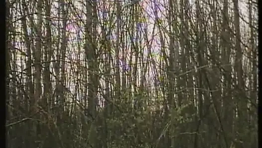 Une Epouse a tout faire (1980)