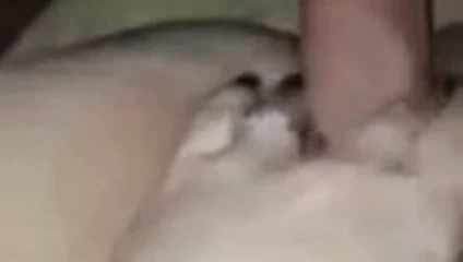 19 ve 2 tarafından kullanılıyor