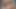 Rashmika mandala videosu