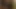 Busty amatör exgf anal üçlü ile yüz