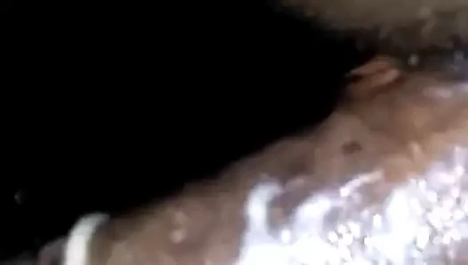 tembel okşayarak kremalı kedi