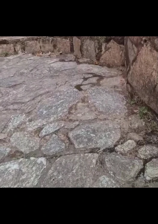 Ateşli Brezilyalı latin muse anal tıkaçla açık havada eğlencenin tadını çıkarıyor