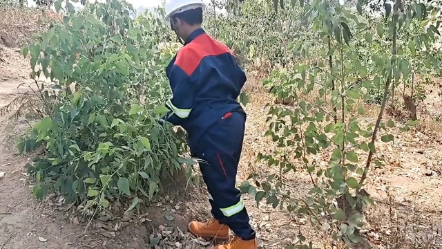 Büyük dudaklı amcığın yakın çekim defalarca boşalması