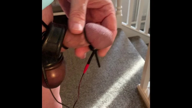 A lovely estim primer