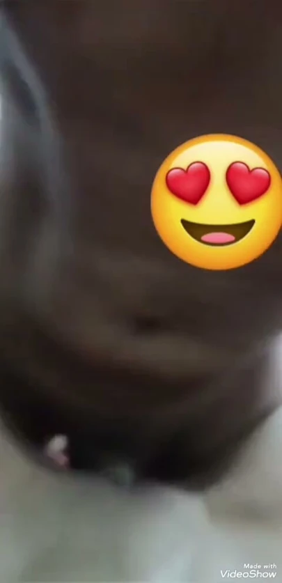 Bakire 18+ kız arkadaş otel odasında bekaretini kaybediyor | Klip 1