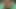 Zenci kızları seviyorum