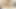 Yaramaz güzel lezbiyenler Dillion Harper ve Karlee Grey formda vücutlarını sergiliyor