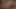 21 sextury - yaramaz Shalina Devine tatlı amcığının yenilmesini teklif ediyor ve Zazie Skymm zaman kaybetmeden