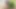 Ateşli travesti janny costa makineye monte edilmiş dildo alıyor