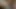 Belki de en güzeli değil ama bir bzzzzzzzzzz ile silahlı...