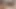 Black4k. Poker tutkununun ateşli ırklararası seksi