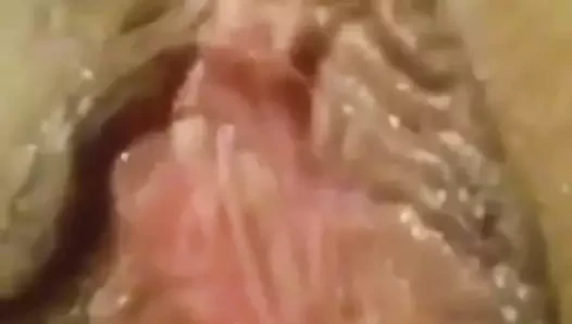 Büyük dudaklı amcık