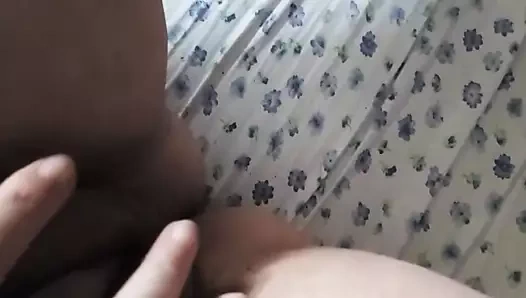 imola teslovicii din lugoj