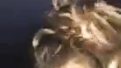 Tinder randevusunun gerçek tarihinden önceki tarihi