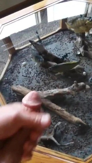 Büyük gay horoz varlık masturbasyon masif twinks üzerinde bir mirror