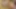 Büyük zenci yarağı bağımlılığı -% 100 amatör ve ev yapımı porno videoları. Orta yaşlı seksi kadınlar büyük zenci yarağı bağımlısı ve ırklararası sikiş