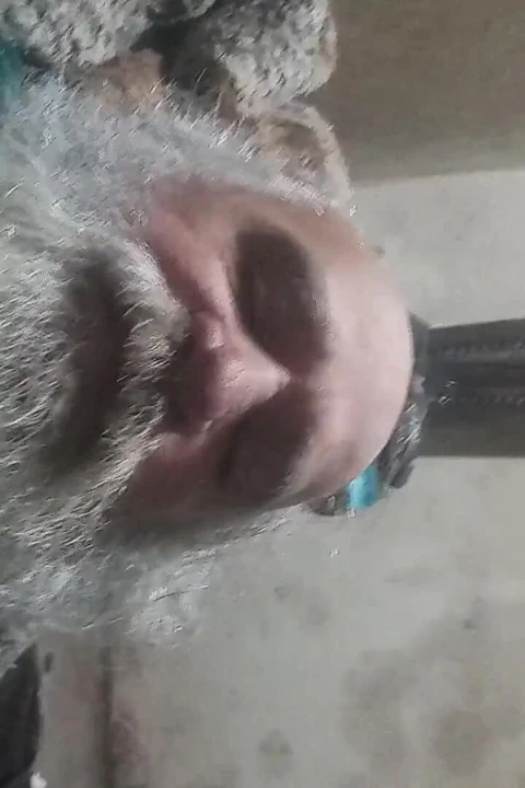 Makro kalın penisimi bıraktım.