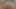 Irklararası pov sikme ve Creampie ile amatör