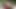Olgun Kızlar Bahçede Birbirlerine Mastürbasyon Yapıyor Ve Birbirlerinin Vajinalarını Dildo Yapıyor