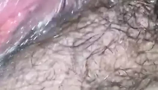 Seksi latina eş ile güzel kedi